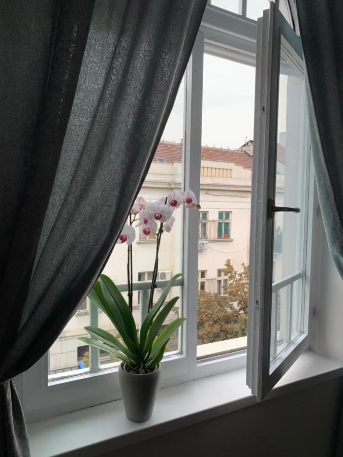 Dragonfly Residence Belgrad Zewnętrze zdjęcie